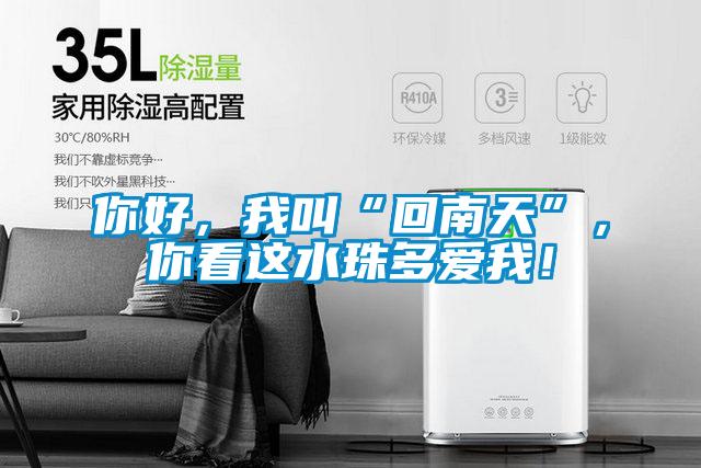 你好，我叫“回南天”，你看這水珠多愛(ài)我！