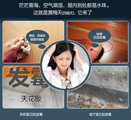 家庭別墅的地下室、衛(wèi)生間、儲物室等該如何除濕？