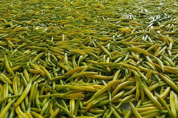 無硫金針菜烘干如何保持品相？不發(fā)黑？