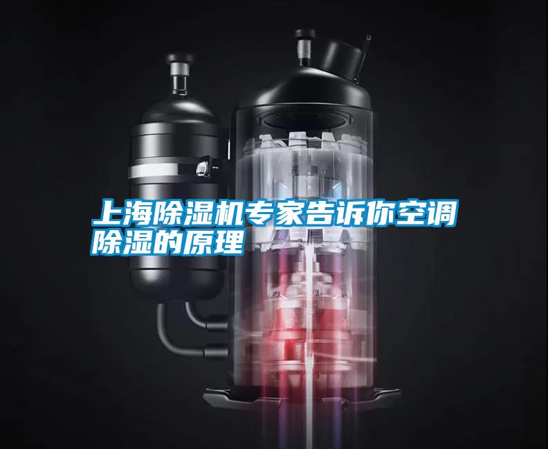 上海除濕機專家告訴你空調除濕的原理
