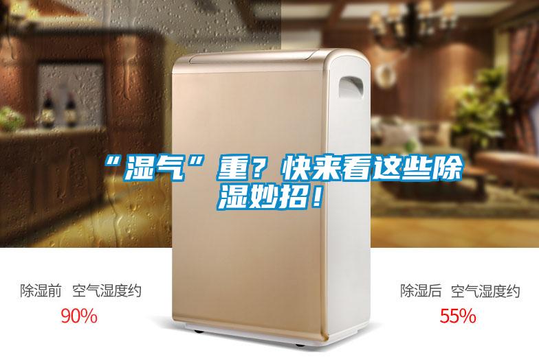 “濕氣”重？快來看這些除濕妙招！