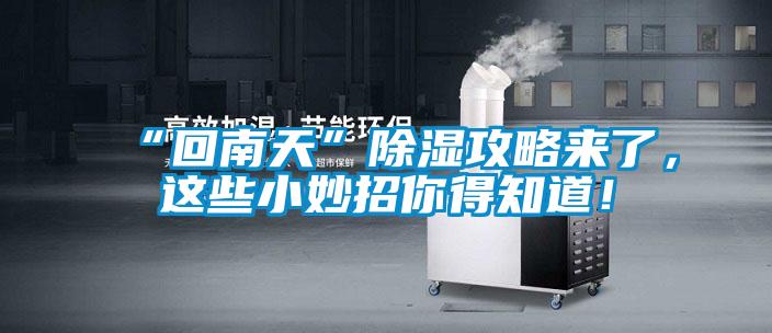 “回南天”除濕攻略來了，這些小妙招你得知道！