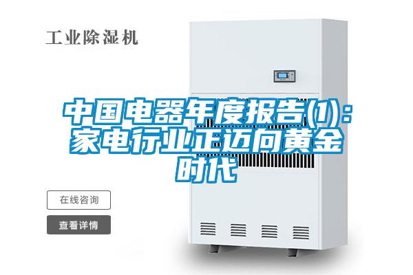 中國(guó)電器年度報(bào)告(1)：家電行業(yè)正邁向黃金時(shí)代
