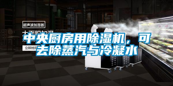 中央廚房用除濕機(jī)，可去除蒸汽與冷凝水