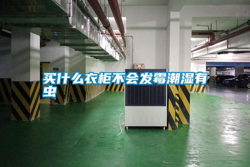 買什么衣柜不會(huì)發(fā)霉潮濕有蟲