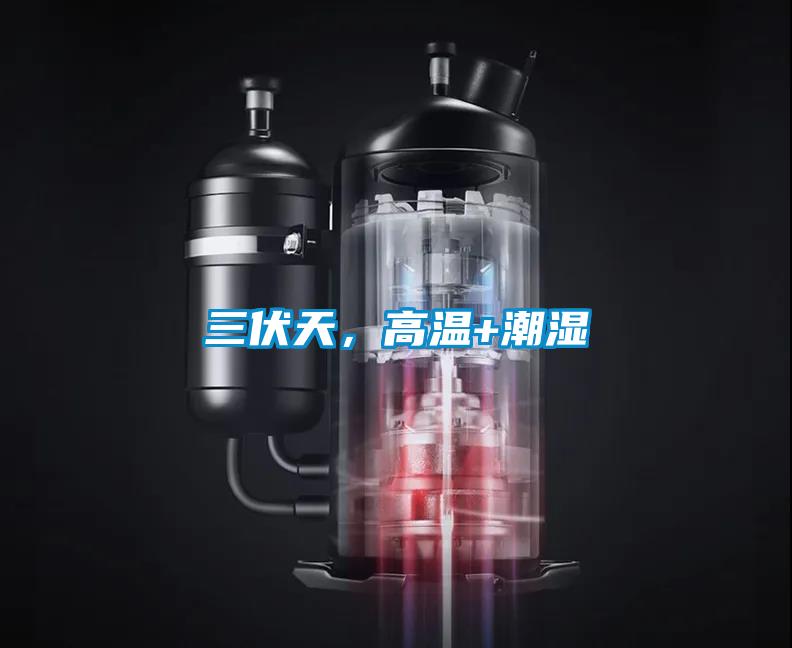 三伏天，高溫+潮濕