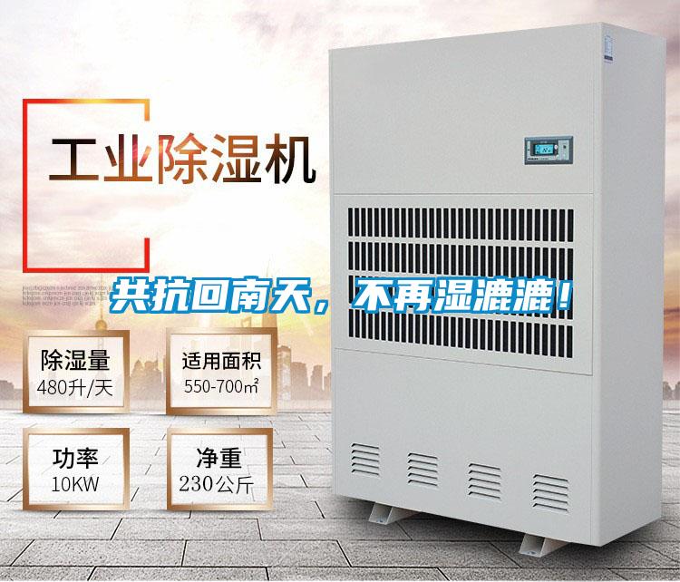 共抗回南天，不再濕漉漉！