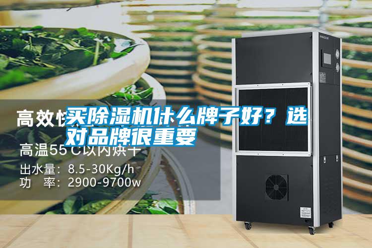 買除濕機(jī)什么牌子好？選對(duì)品牌很重要
