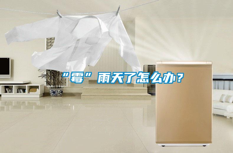 “霉”雨天了怎么辦？