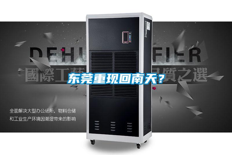 東莞重現(xiàn)回南天？