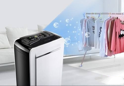 狗狗得了皮膚病，真兇竟是回南天？！