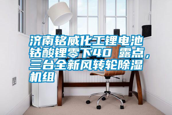 濟(jì)南銘威化工鋰電池鈷酸鋰零下40℃露點(diǎn)，三臺(tái)全新風(fēng)轉(zhuǎn)輪除濕機(jī)組