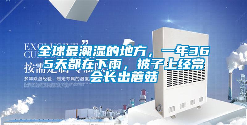 全球最潮濕的地方，一年365天都在下雨，被子上經(jīng)常會長出蘑菇