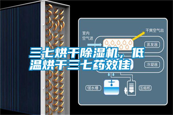 三七烘干除濕機(jī)，低溫烘干三七藥效佳