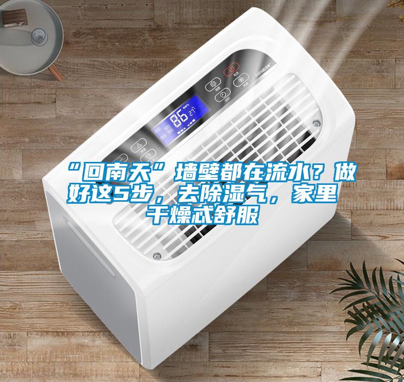 “回南天”墻壁都在流水？做好這5步，去除濕氣，家里干燥忒舒服
