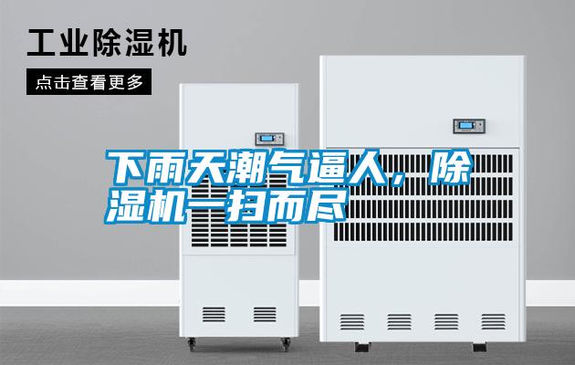 下雨天潮氣逼人，除濕機一掃而盡