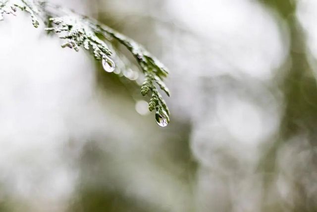 空氣濕度大帶來(lái)的危害有哪些，你知道嗎？