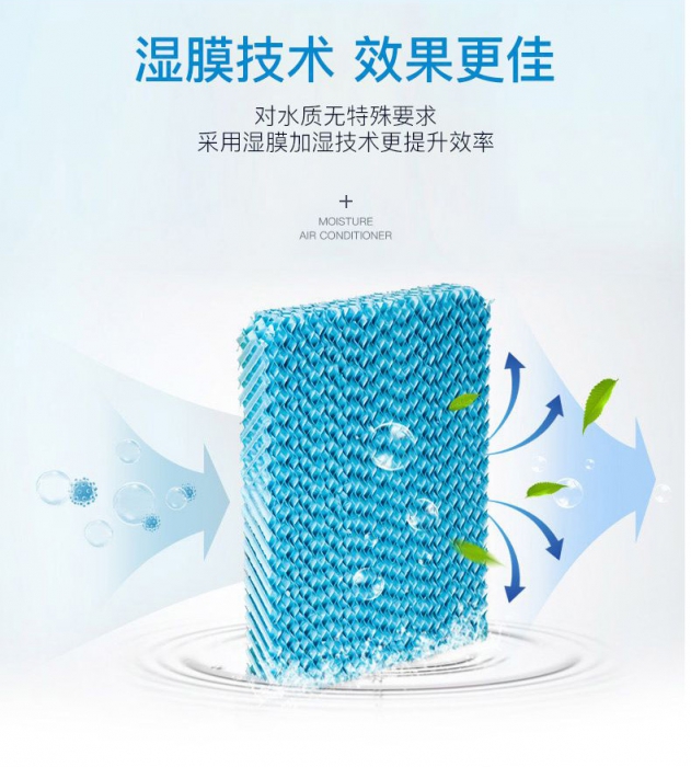 春天潮濕，教你家居防霉妙法