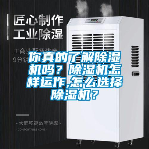 你真的了解除濕機(jī)嗎？除濕機(jī)怎樣運(yùn)作,怎么選擇除濕機(jī)？
