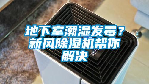 地下室潮濕發(fā)霉？新風除濕機幫你解決