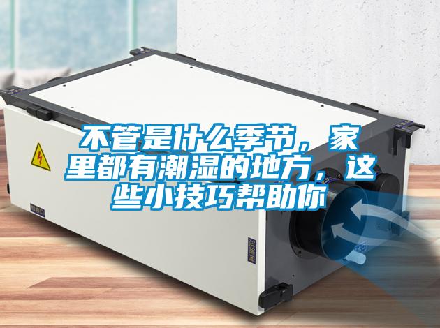 不管是什么季節(jié)，家里都有潮濕的地方，這些小技巧幫助你