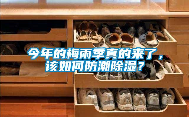 今年的梅雨季真的來了，該如何防潮除濕？