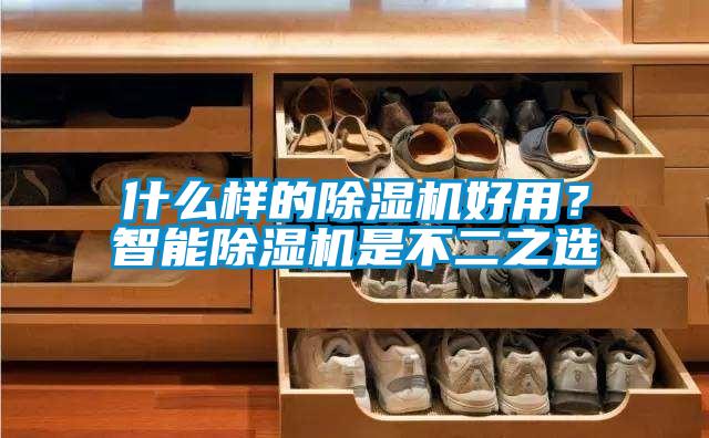 什么樣的除濕機(jī)好用？智能除濕機(jī)是不二之選