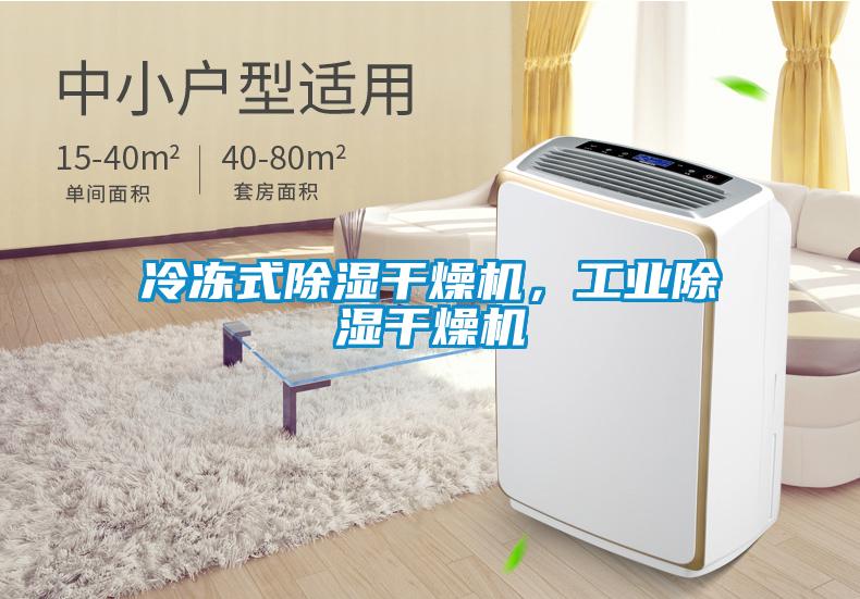 冷凍式除濕干燥機，工業(yè)除濕干燥機
