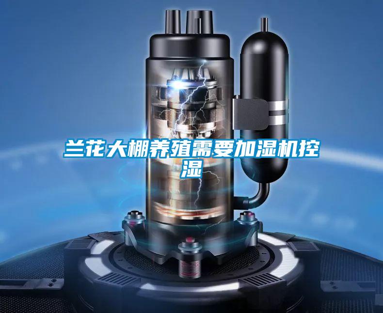 蘭花大棚養(yǎng)殖需要加濕機控濕