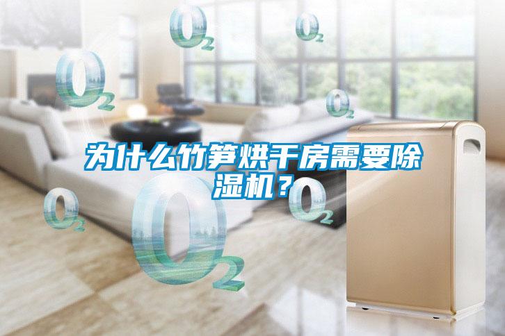 為什么竹筍烘干房需要除濕機(jī)？