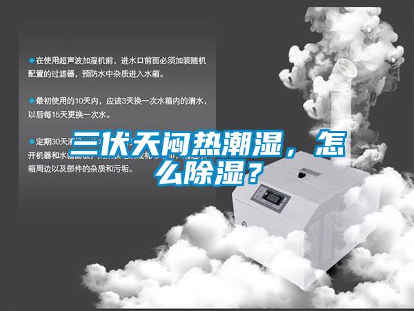 三伏天悶熱潮濕，怎么除濕？