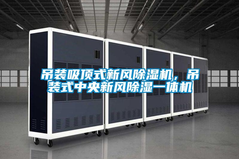 吊裝吸頂式新風除濕機，吊裝式中央新風除濕一體機
