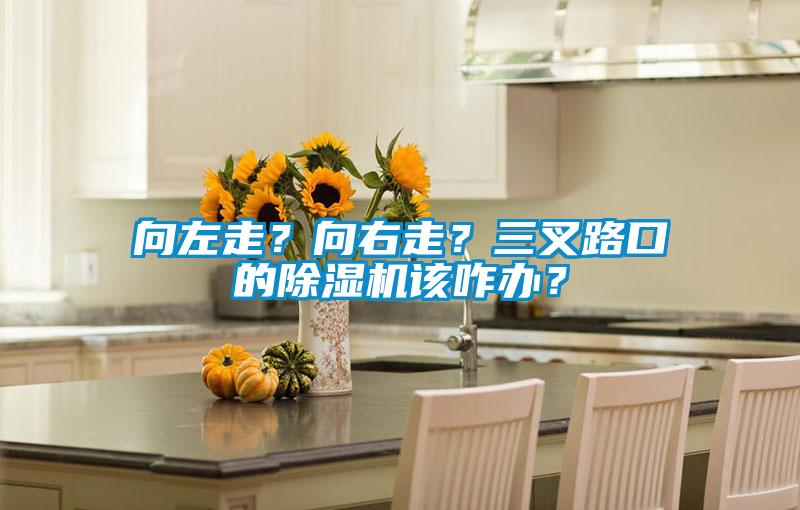 向左走？向右走？三叉路口的除濕機(jī)該咋辦？