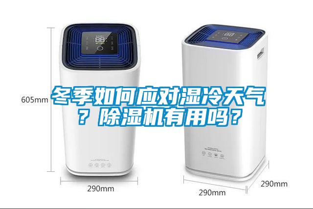 冬季如何應(yīng)對濕冷天氣？除濕機有用嗎？