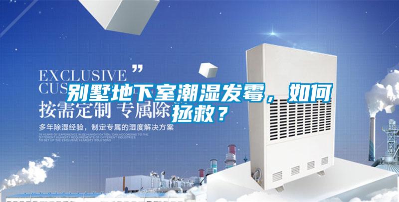 別墅地下室潮濕發(fā)霉，如何拯救？