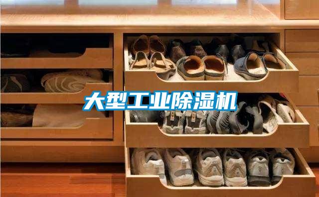 大型工業除濕機