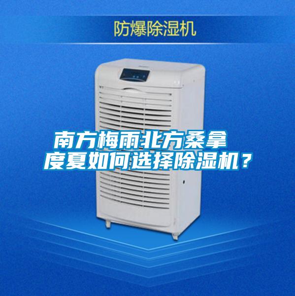 南方梅雨北方桑拿 度夏如何選擇除濕機(jī)？