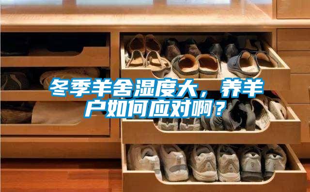 冬季羊舍濕度大，養羊戶如何應對?。?/></p>
<p style=