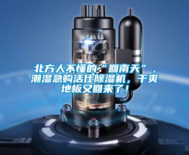 北方人不懂的“回南天”，潮濕急購活仕除濕機，干爽地板又回來了！