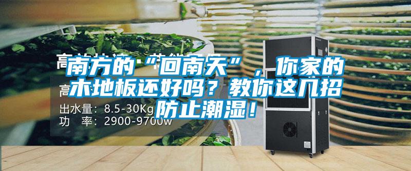 南方的“回南天”，你家的木地板還好嗎？教你這幾招防止潮濕！