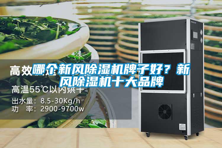 哪個(gè)新風(fēng)除濕機(jī)牌子好？新風(fēng)除濕機(jī)十大品牌