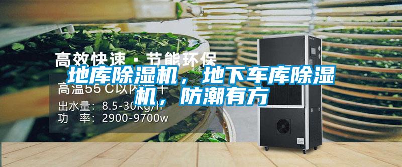 地庫除濕機，地下車庫除濕機，防潮有方