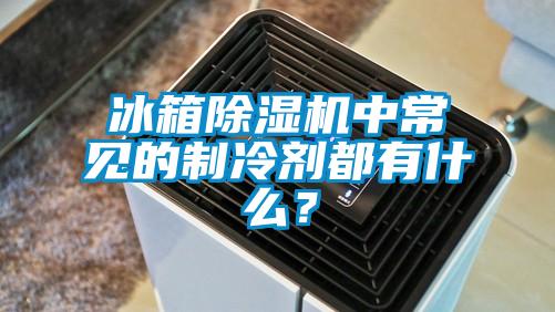 冰箱除濕機中常見的制冷劑都有什么？
