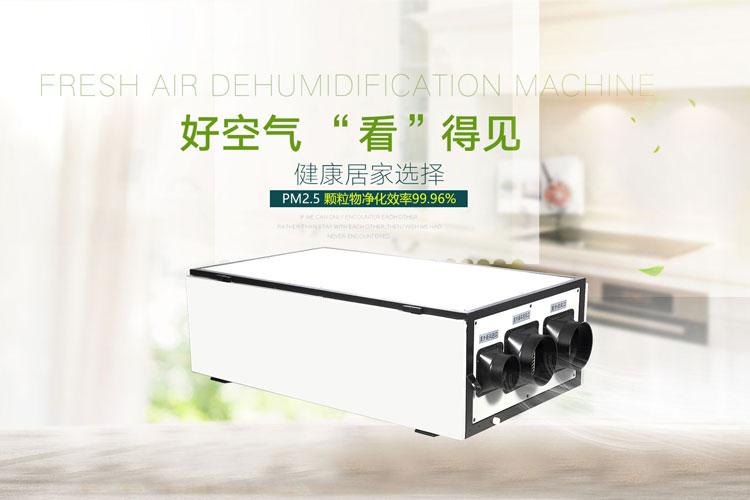 安詩曼除濕機(jī)--地下室防潮除濕方案解決者