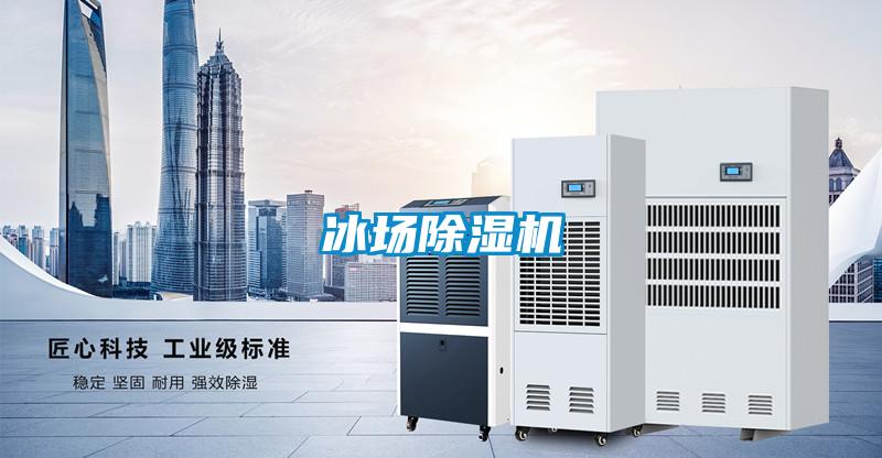 冰場(chǎng)除濕機(jī)