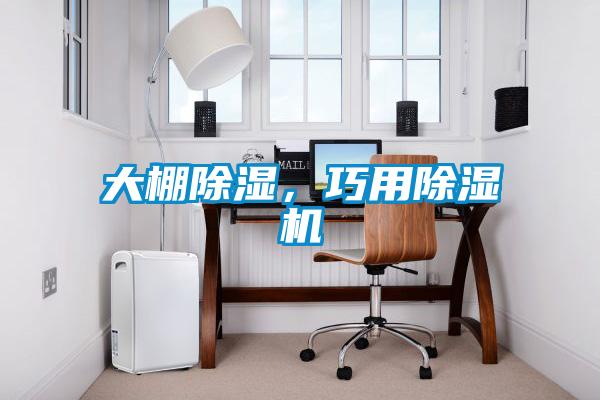 大棚除濕，巧用除濕機