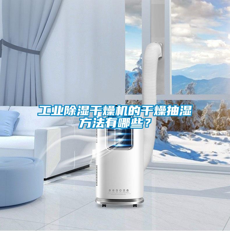工業(yè)除濕干燥機(jī)的干燥抽濕方法有哪些？