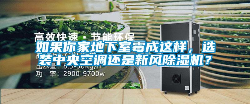 如果你家地下室霉成這樣，選裝中央空調(diào)還是新風(fēng)除濕機(jī)？