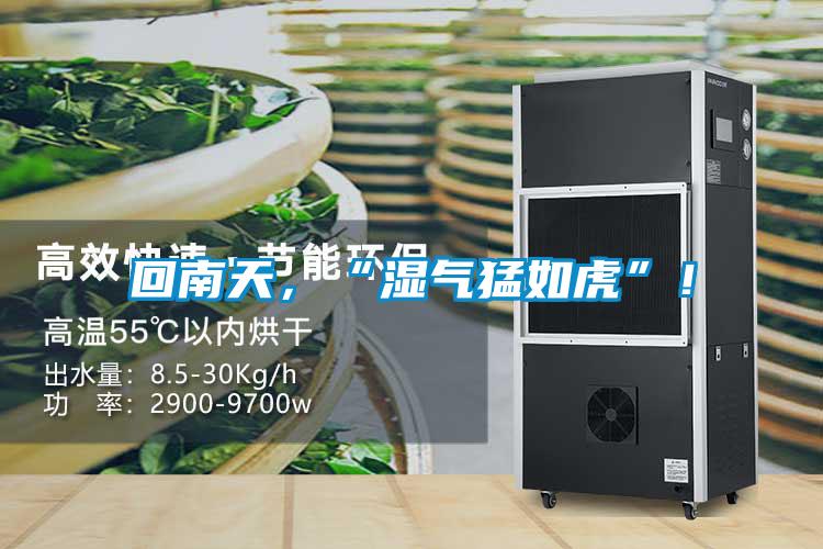 回南天，“濕氣猛如虎”！