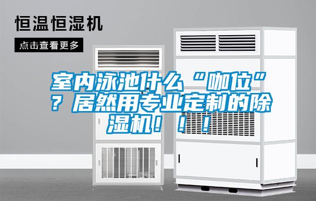 室內泳池什么“咖位”？居然用專業定制的除濕機?。。?/></p>
<p style=